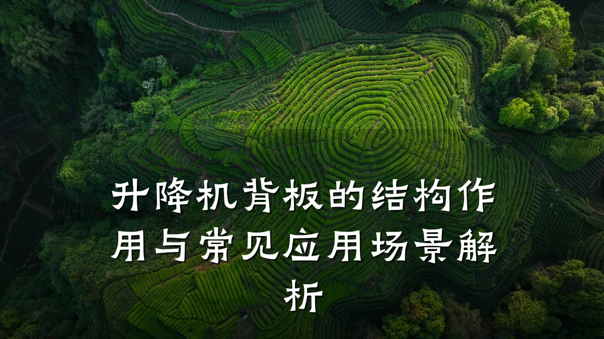 升降机背板的结构作用与常见应用场景解析