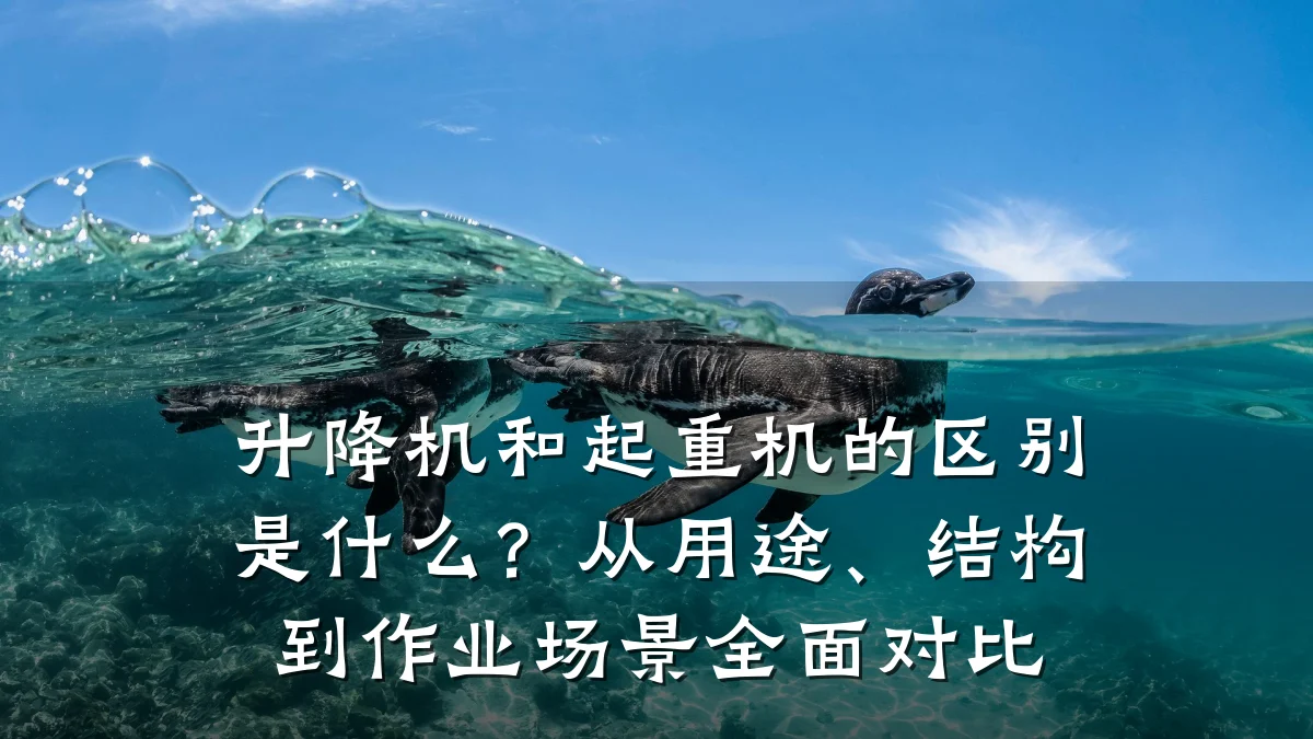升降机和起重机的区别是什么?从用途、结构到作业场景全面对比