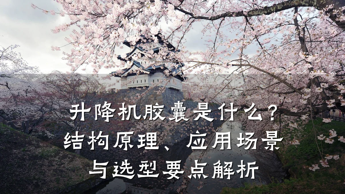 升降机胶囊是什么?结构原理、应用场景与选型要点解析