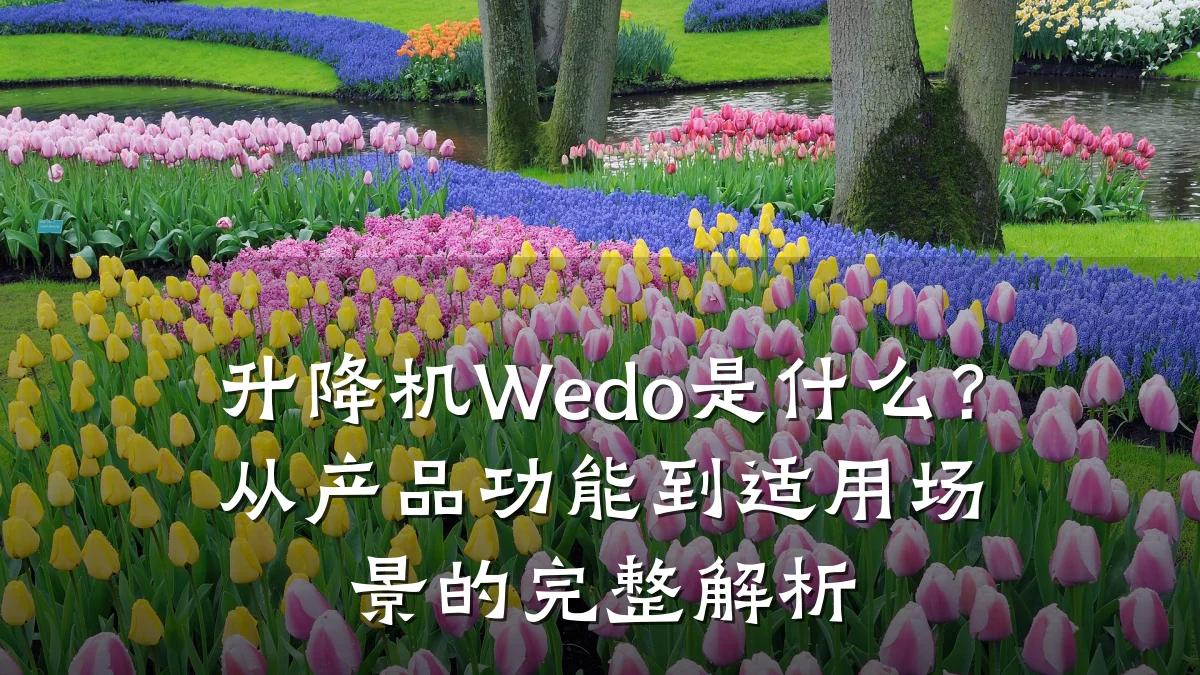 升降机Wedo是什么?从产品功能到适用场景的完整解析