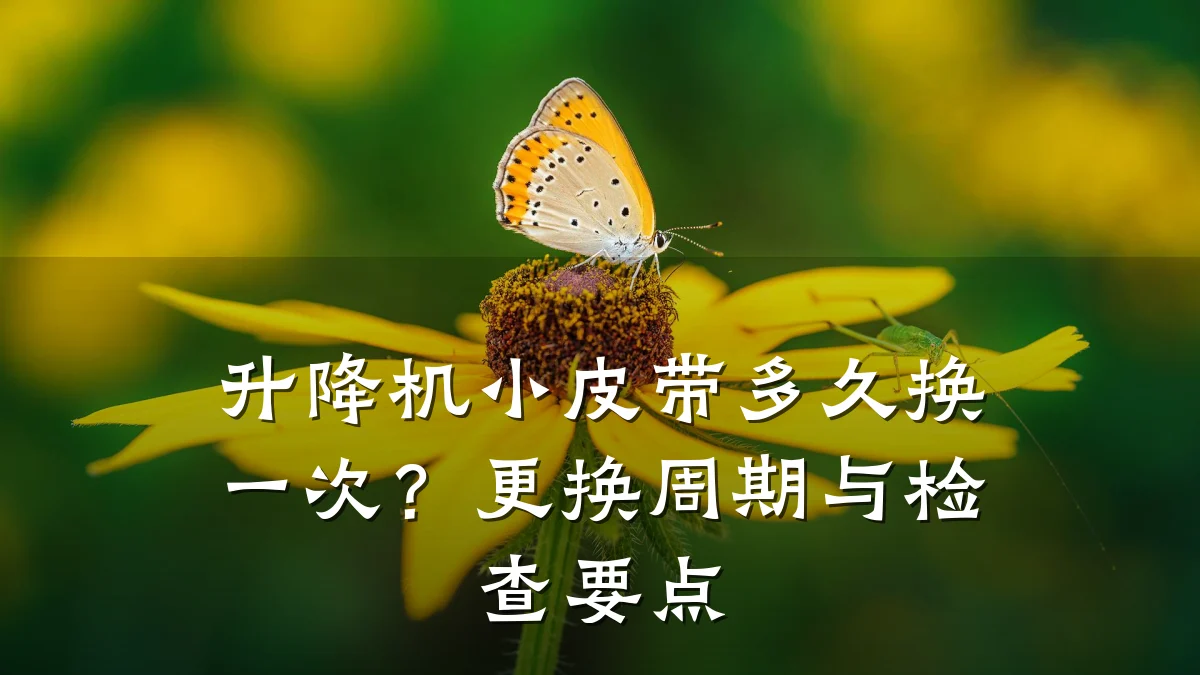 升降机小皮带多久换一次?更换周期与检查要点