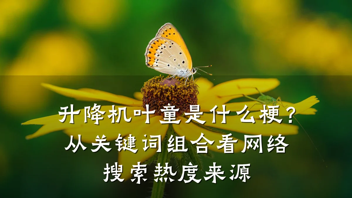 升降机叶童是什么梗？从关键词组合看网络搜索热度来源