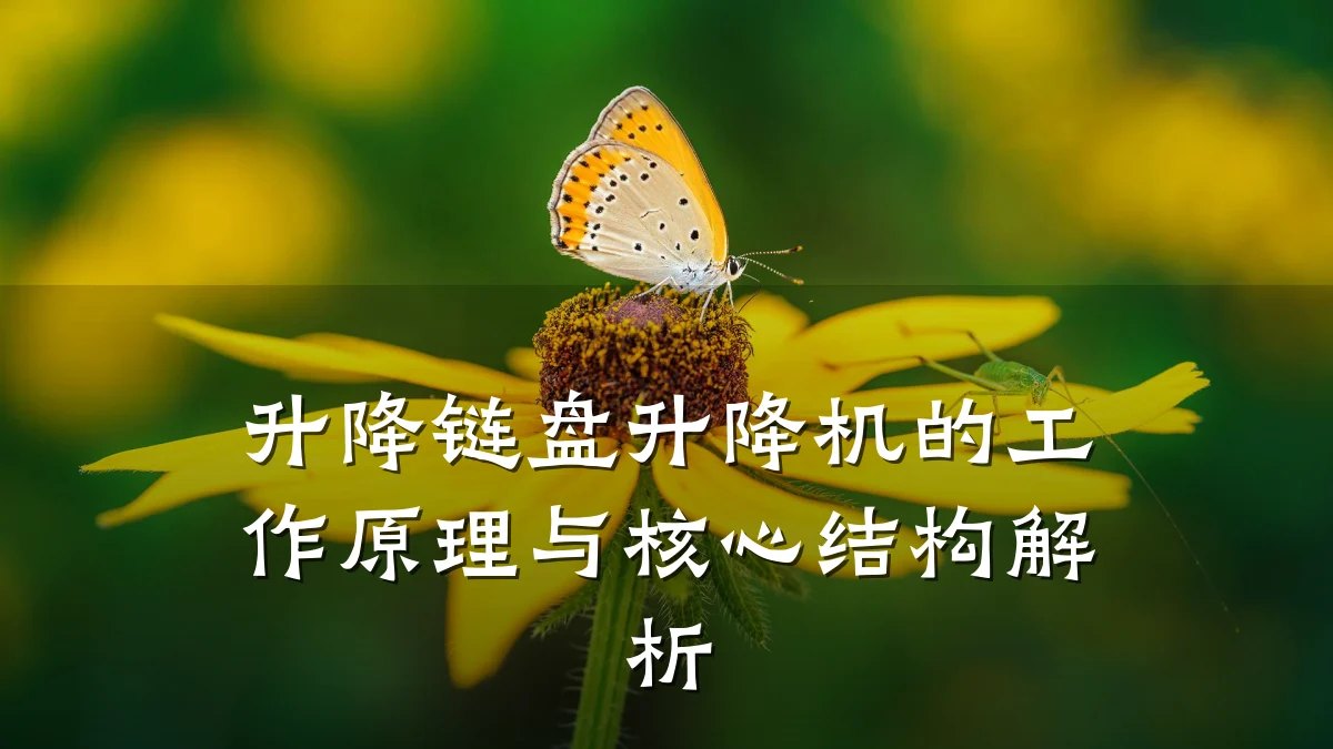 升降链盘升降机的工作原理与核心结构解析