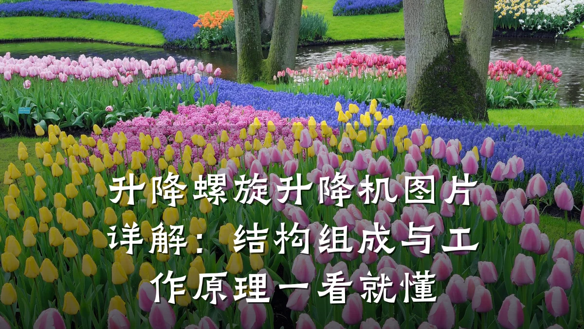 升降螺旋升降机图片详解:结构组成与工作原理一看就懂