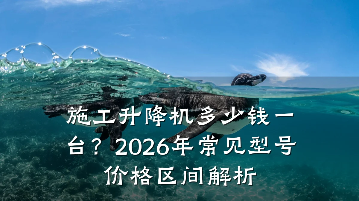施工升降机多少钱一台?2026年常见型号价格区间解析