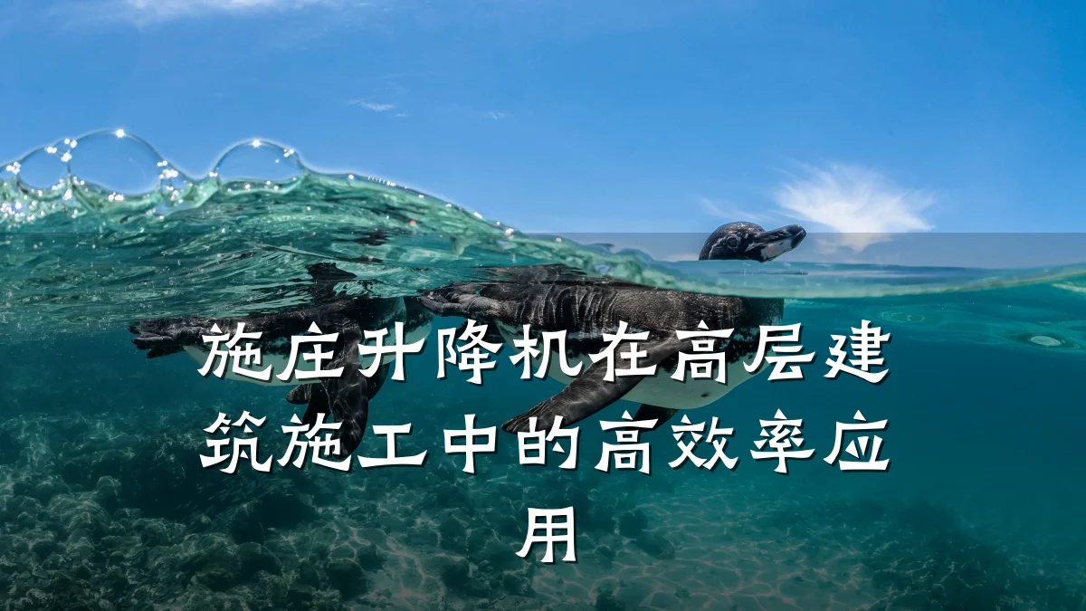 施庄升降机在高层建筑施工中的高效率应用