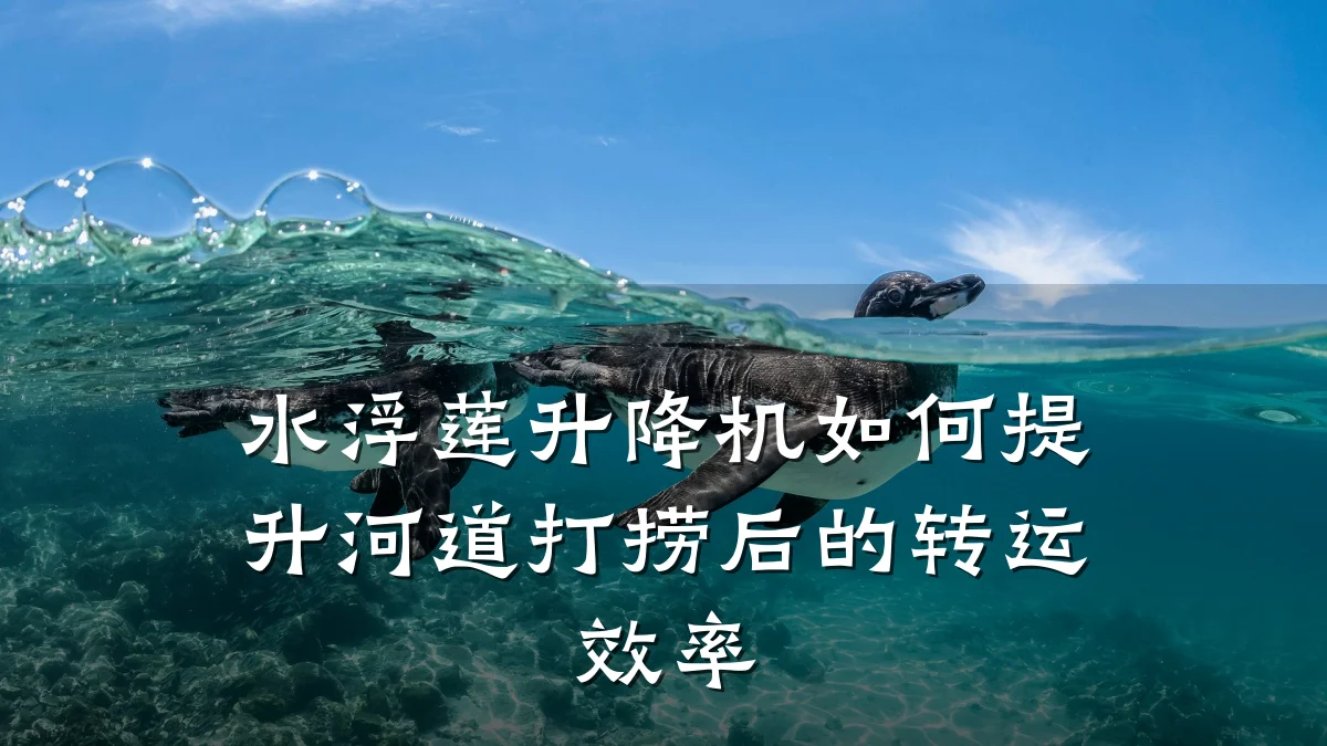 水浮莲升降机如何提升河道打捞后的转运效率