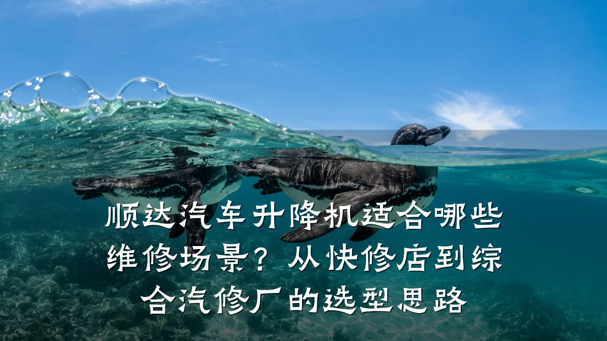 顺达汽车升降机适合哪些维修场景?从快修店到综合汽修厂的选型思路