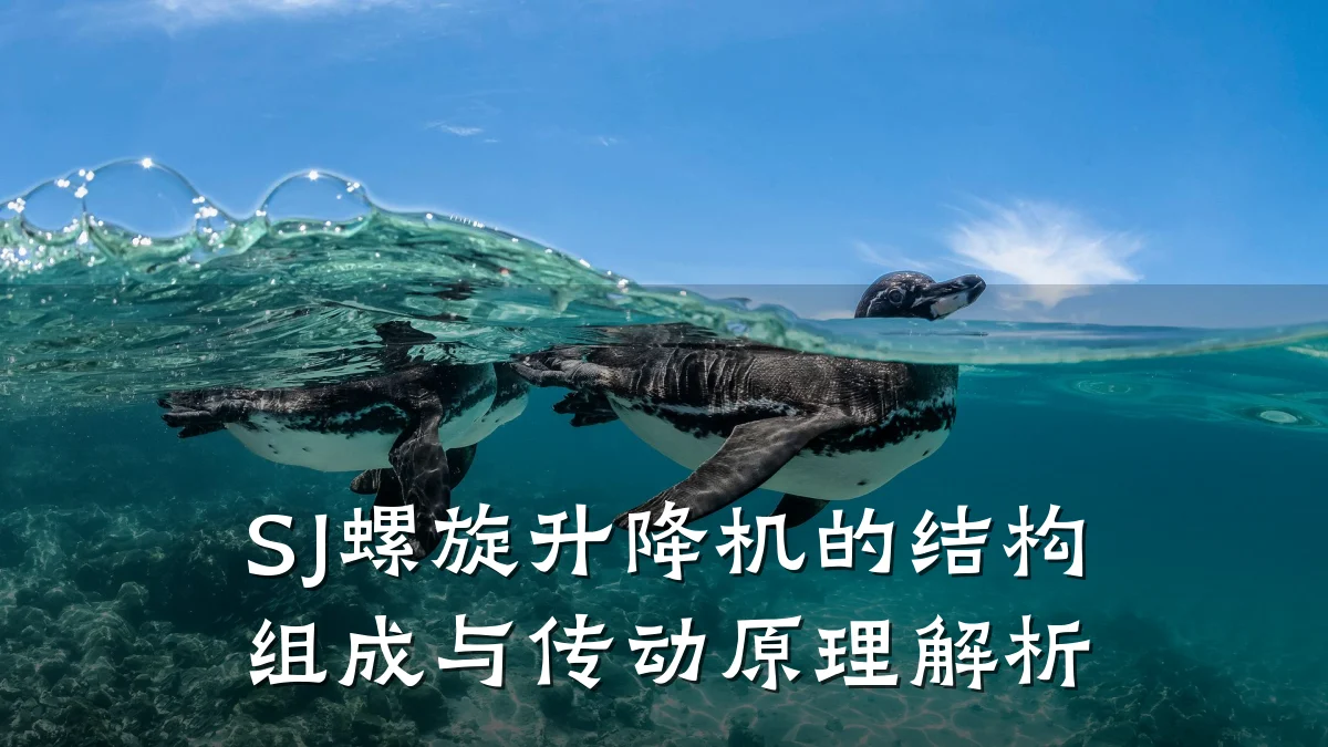 SJ螺旋升降机的结构组成与传动原理解析
