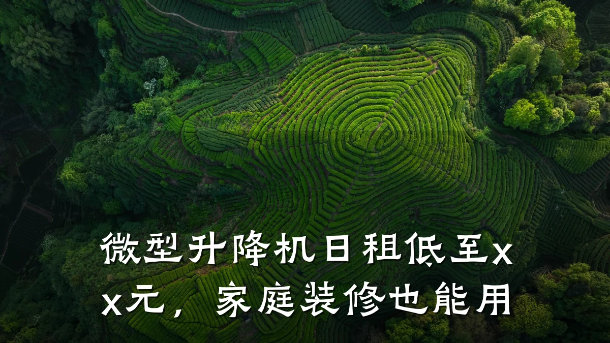 微型升降机日租低至xx元，家庭装修也能用