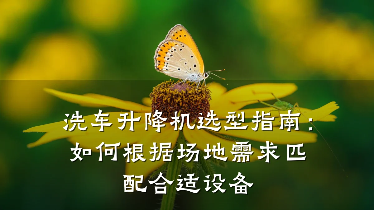 洗车升降机选型指南:如何根据场地需求匹配合适设备