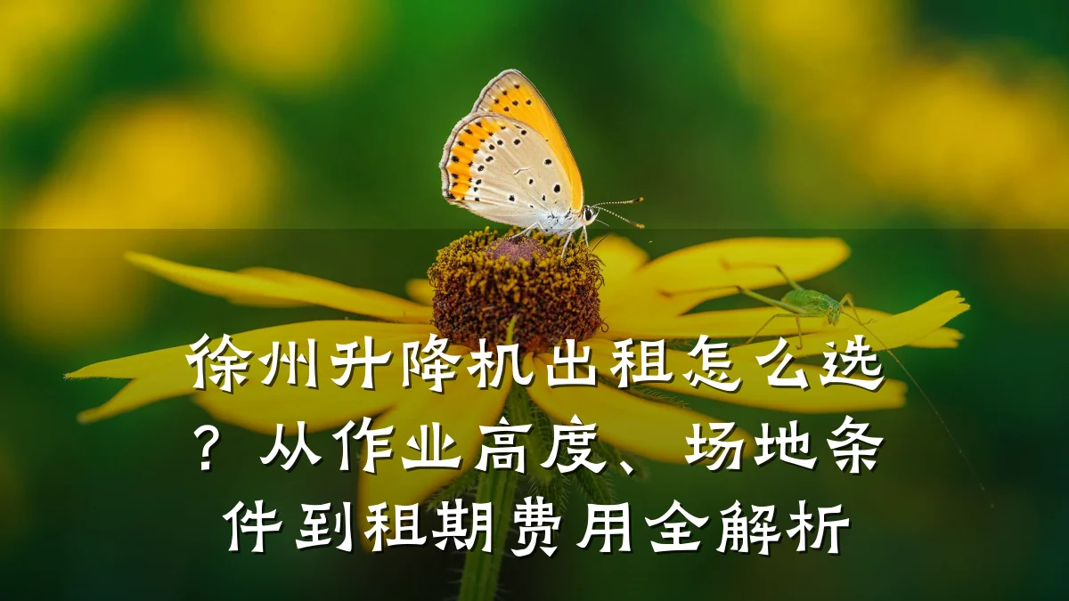 徐州升降机出租怎么选?从作业高度、场地条件到租期费用全解析