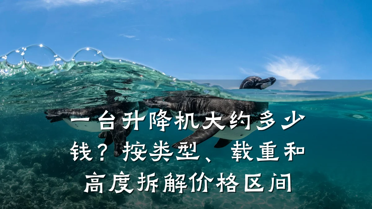 一台升降机大约多少钱?按类型、载重和高度拆解价格区间