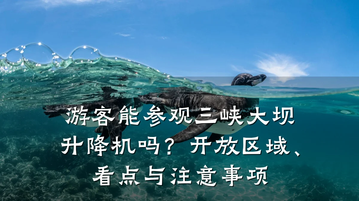 游客能参观三峡大坝升降机吗？开放区域、看点与注意事项